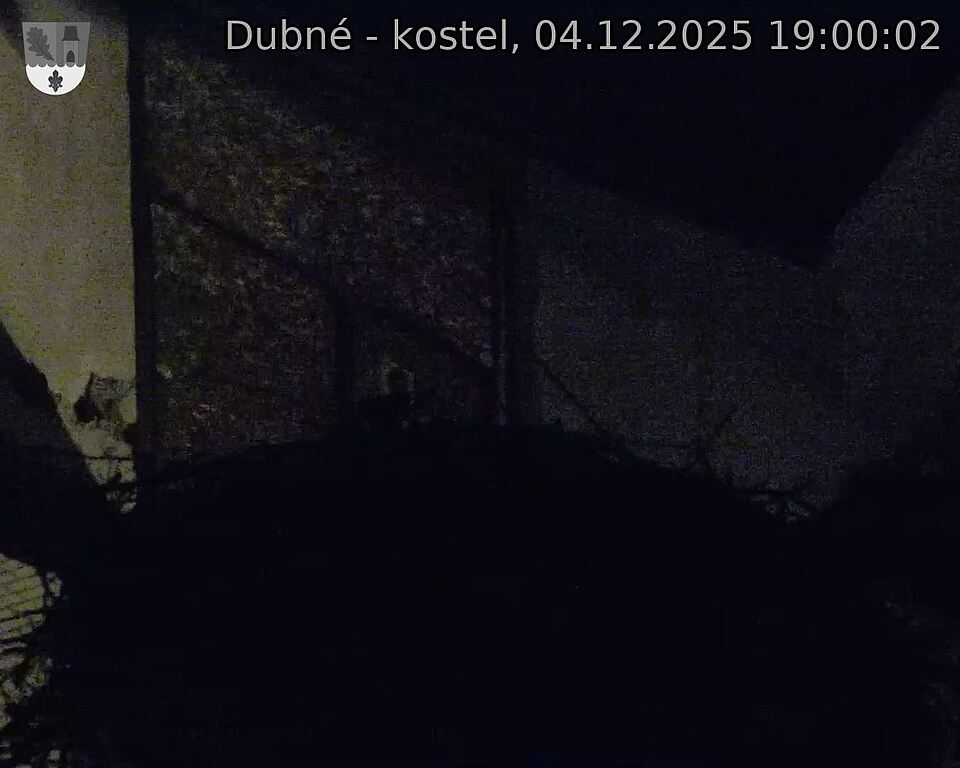 Capi_Dubne_20251204_190003.jpg (1350 x 1080)