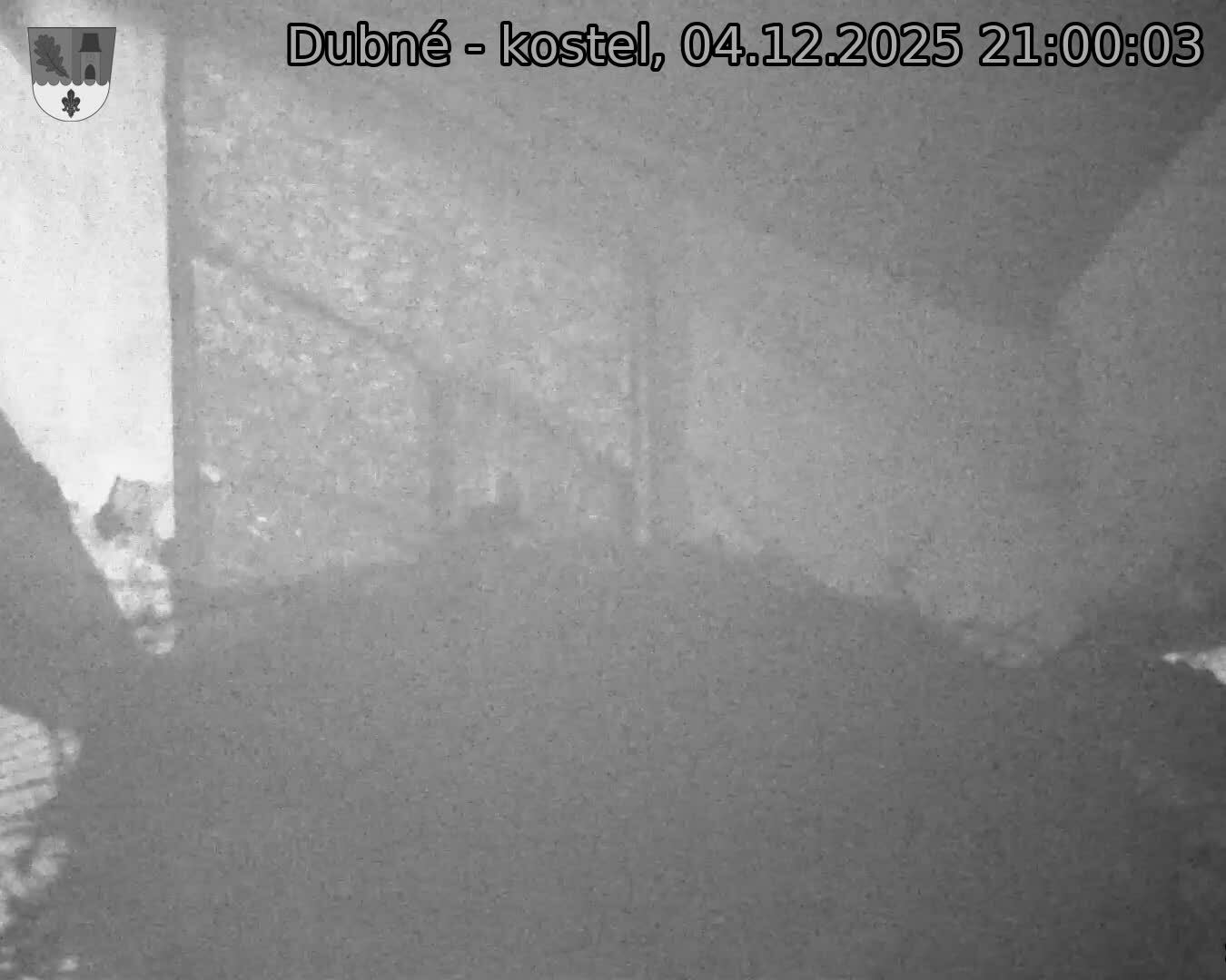 Capi_Dubne_20251204_210003.jpg (1350 x 1080)