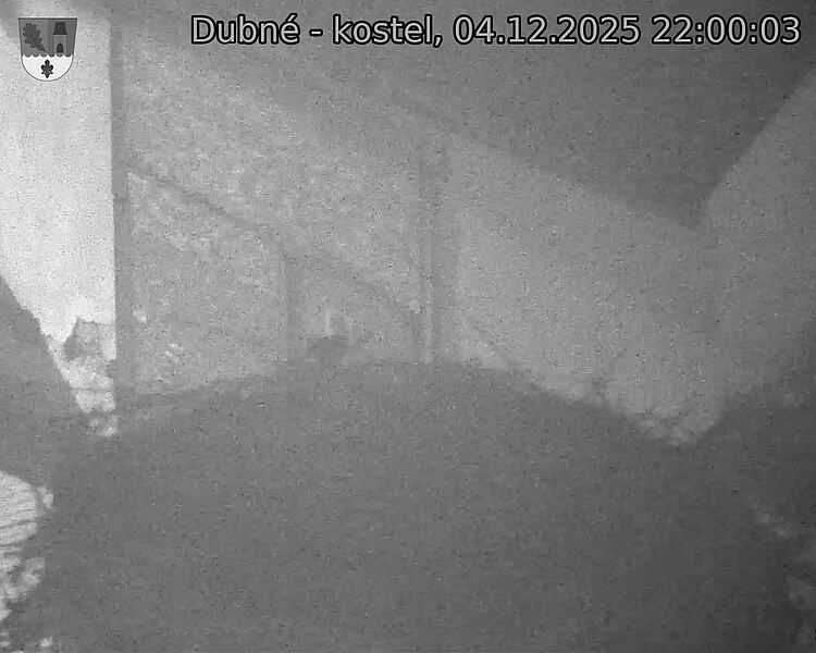 Capi_Dubne_20251204_220003.jpg (1350 x 1080)