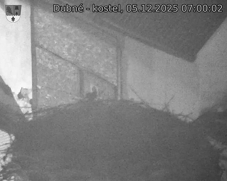 Capi_Dubne_20251205_070002.jpg (1350 x 1080)