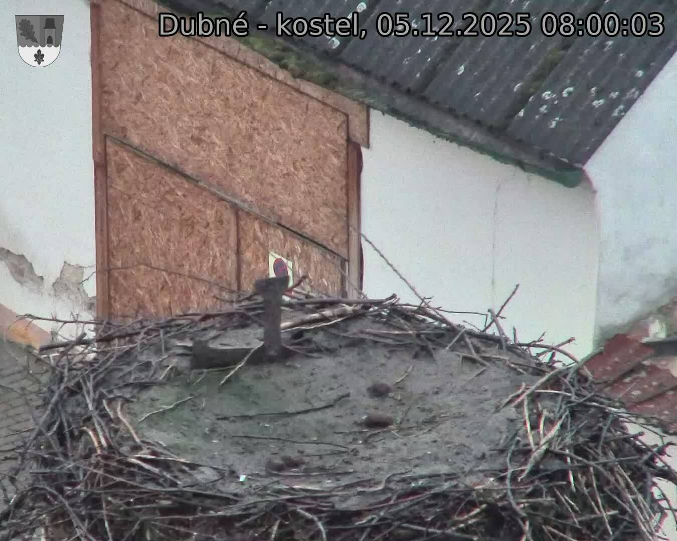 Capi_Dubne_20251205_080003.jpg (1350 x 1080)