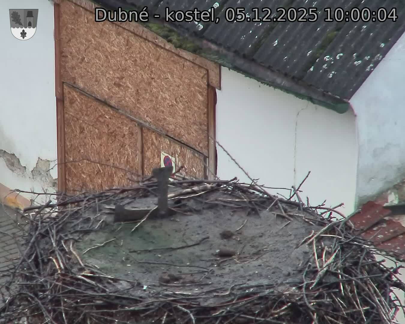 Capi_Dubne_20251205_100004.jpg (1350 x 1080)