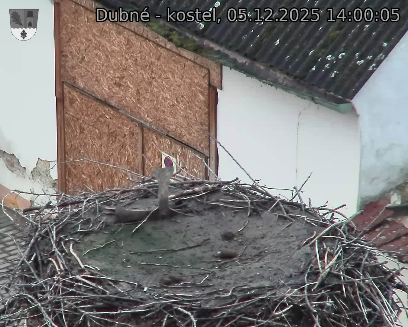 Capi_Dubne_20251205_140005.jpg (1350 x 1080)