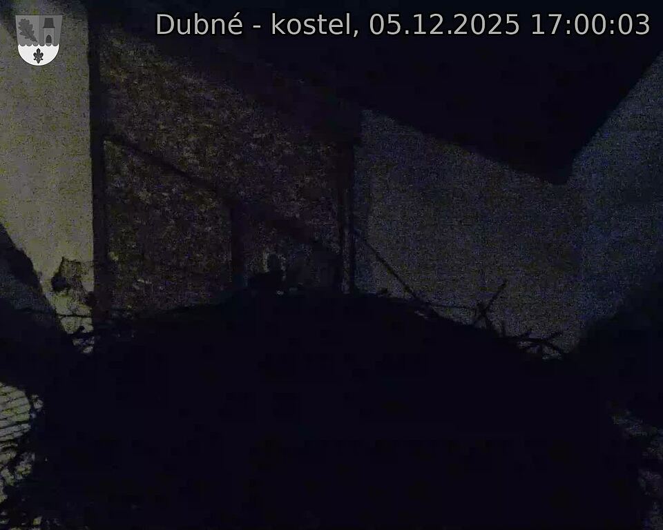 Capi_Dubne_20251205_170003.jpg (1350 x 1080)
