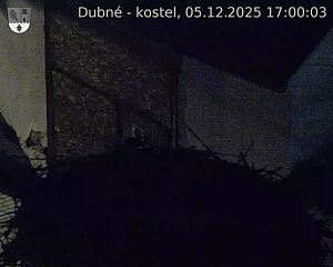 Capi_Dubne_20251205_170003.jpg (1350 x 1080)