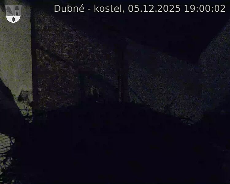 Capi_Dubne_20251205_190002.jpg (1350 x 1080)