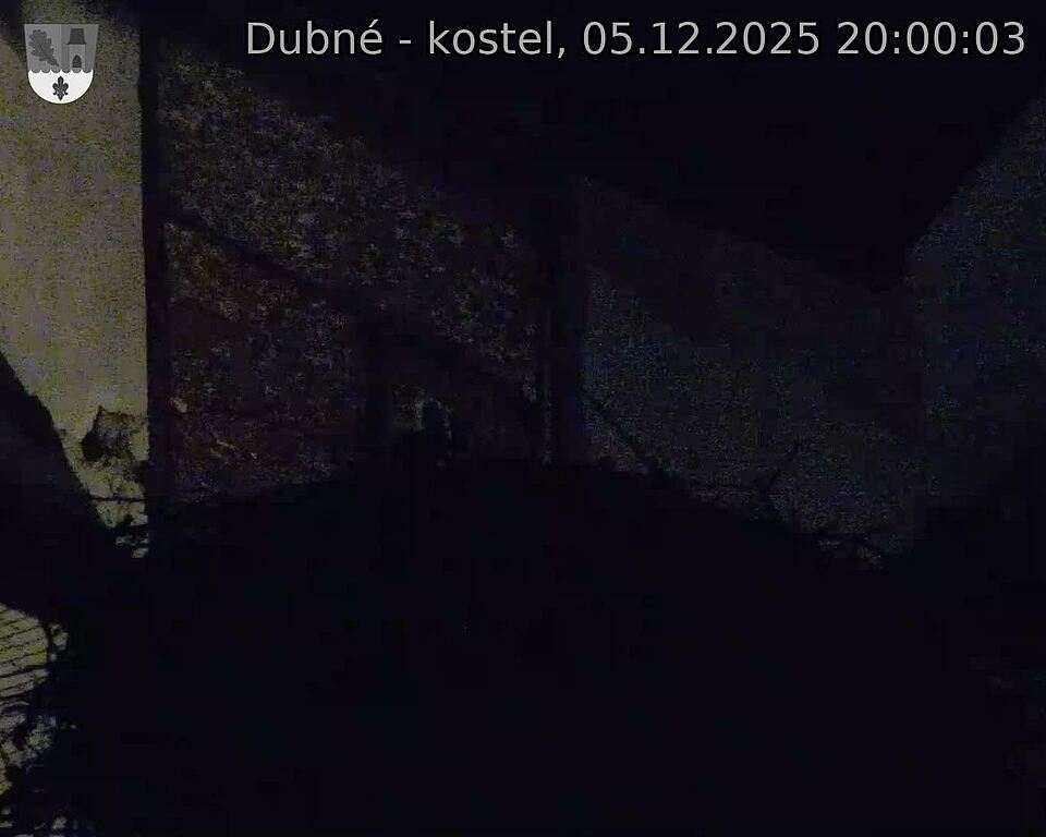 Capi_Dubne_20251205_200003.jpg (1350 x 1080)