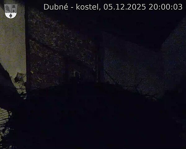 Capi_Dubne_20251205_200003.jpg (1350 x 1080)