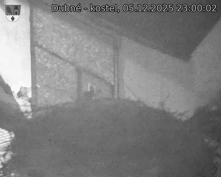 Capi_Dubne_20251205_230002.jpg (1350 x 1080)