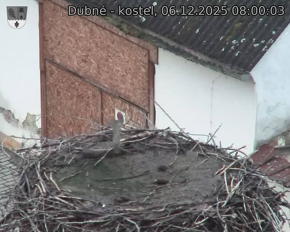 Capi_Dubne_20251206_080003.jpg (1350 x 1080)