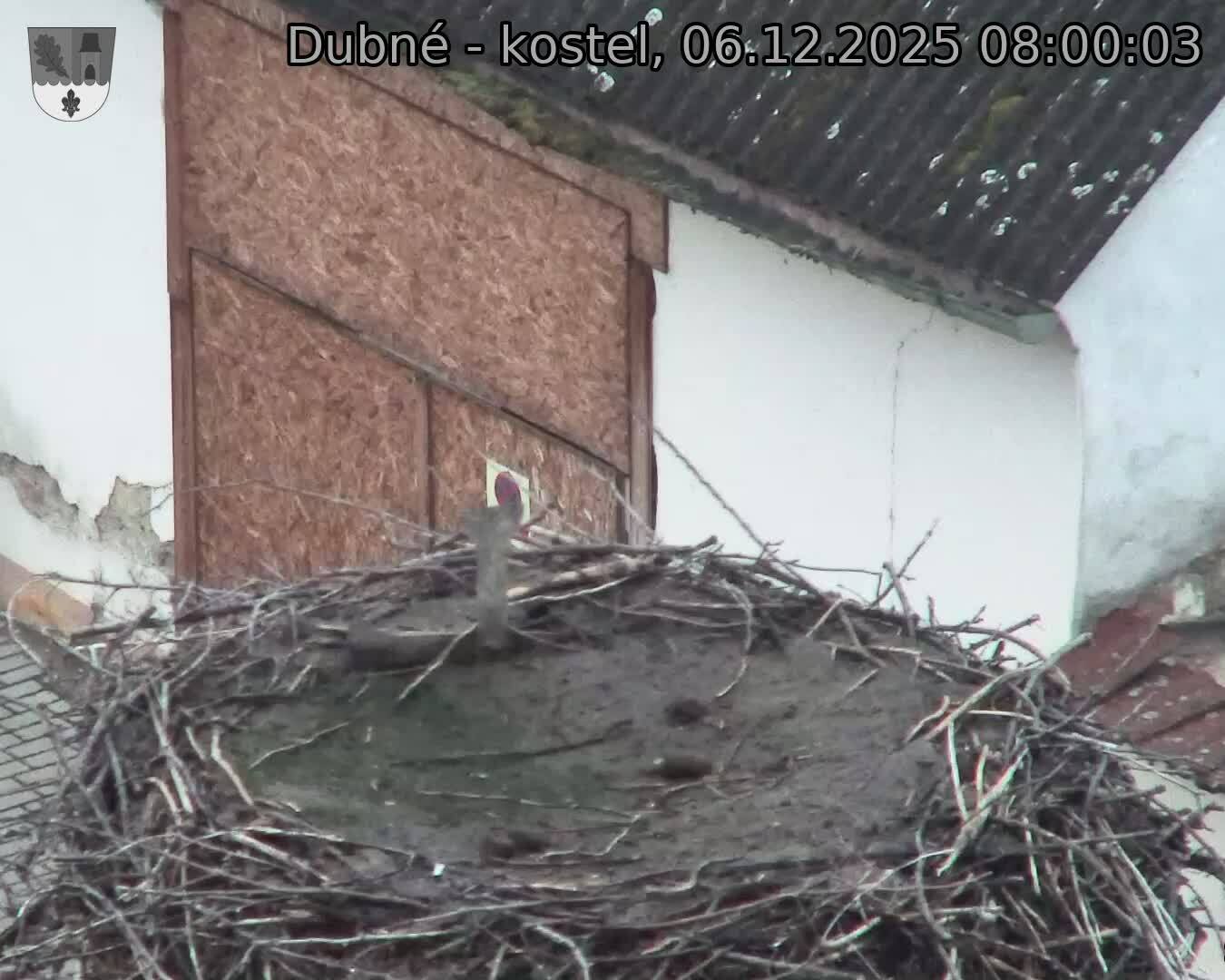 Capi_Dubne_20251206_080003.jpg (1350 x 1080)