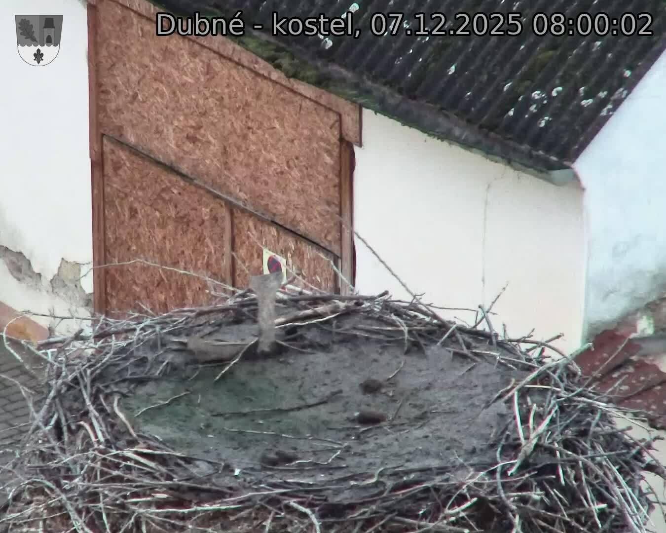 Capi_Dubne_20251207_080002.jpg (1350&nbsp;x&nbsp;1080)