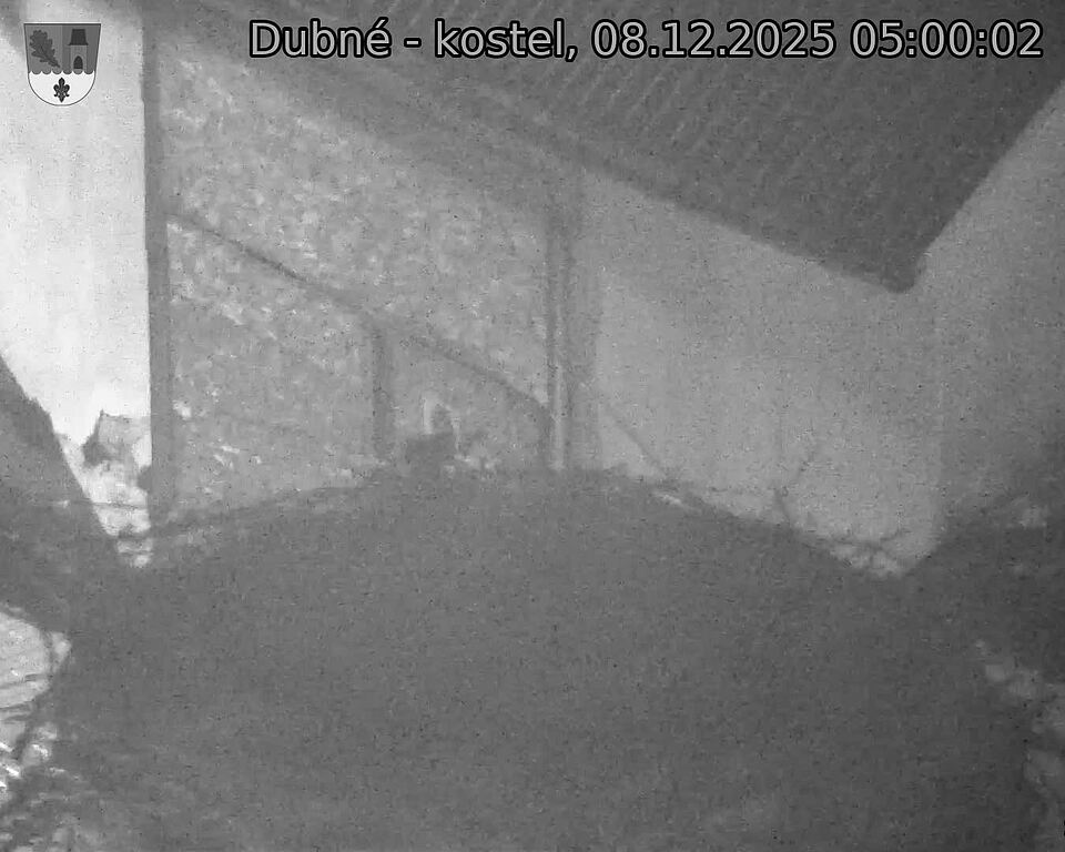 Capi_Dubne_20251208_050002.jpg (1350&nbsp;x&nbsp;1080)