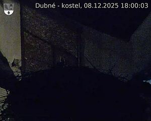 Capi_Dubne_20251208_180003.jpg (1350&nbsp;x&nbsp;1080)