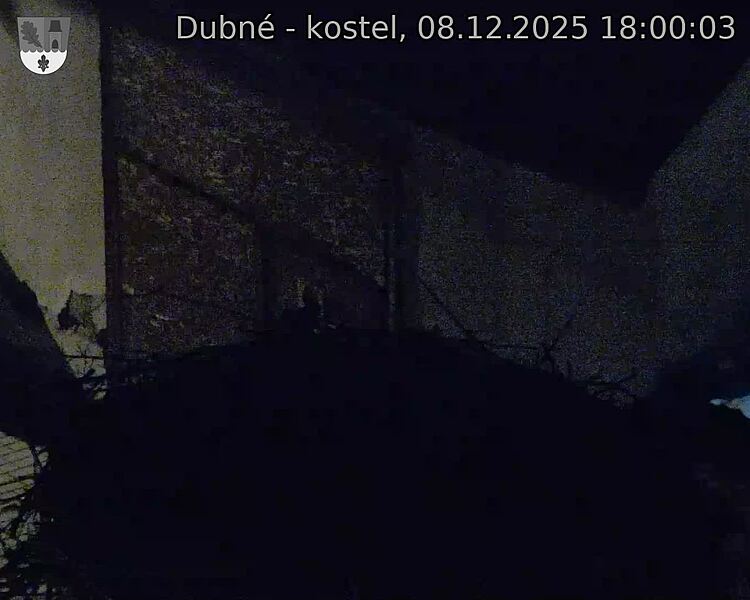 Capi_Dubne_20251208_180003.jpg (1350&nbsp;x&nbsp;1080)