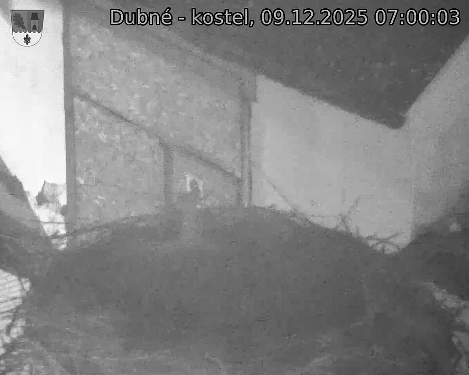 Capi_Dubne_20251209_070003.jpg (1350&nbsp;x&nbsp;1080)