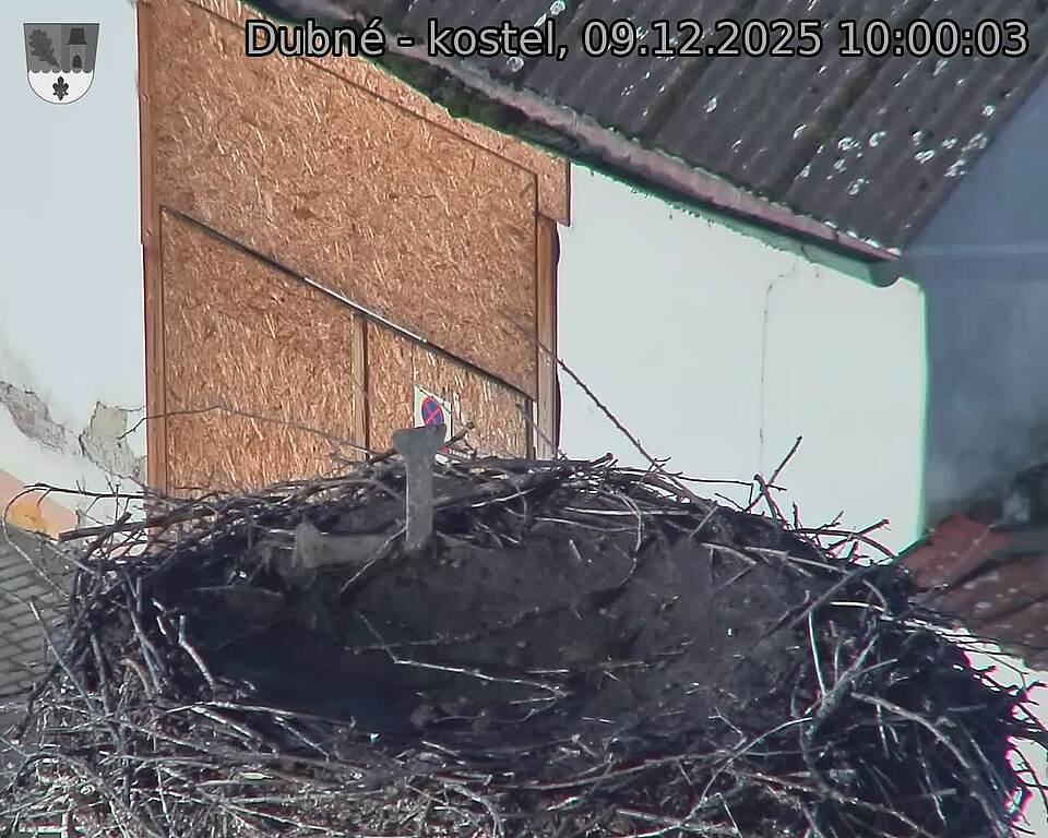 Capi_Dubne_20251209_100003.jpg (1350&nbsp;x&nbsp;1080)