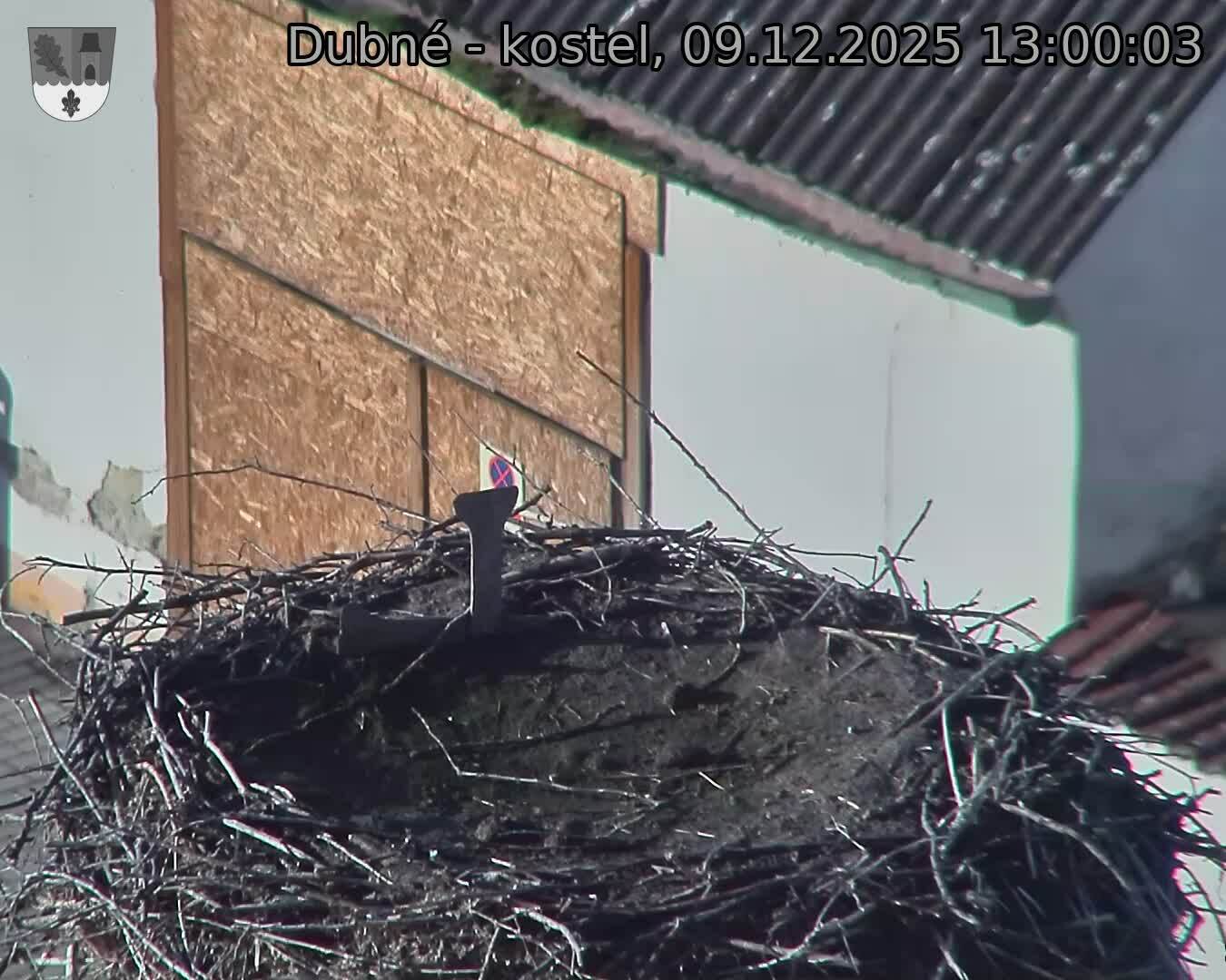 Capi_Dubne_20251209_130003.jpg (1350&nbsp;x&nbsp;1080)