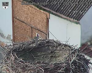 Capi_Dubne_20251209_140003.jpg (1350&nbsp;x&nbsp;1080)