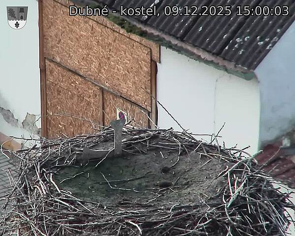 Capi_Dubne_20251209_150003.jpg (1350&nbsp;x&nbsp;1080)