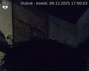 Capi_Dubne_20251209_170003.jpg (1350&nbsp;x&nbsp;1080)