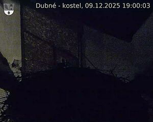 Capi_Dubne_20251209_190003.jpg (1350&nbsp;x&nbsp;1080)