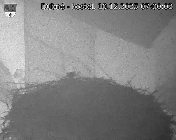 Capi_Dubne_20251210_070002.jpg (1350&nbsp;x&nbsp;1080)
