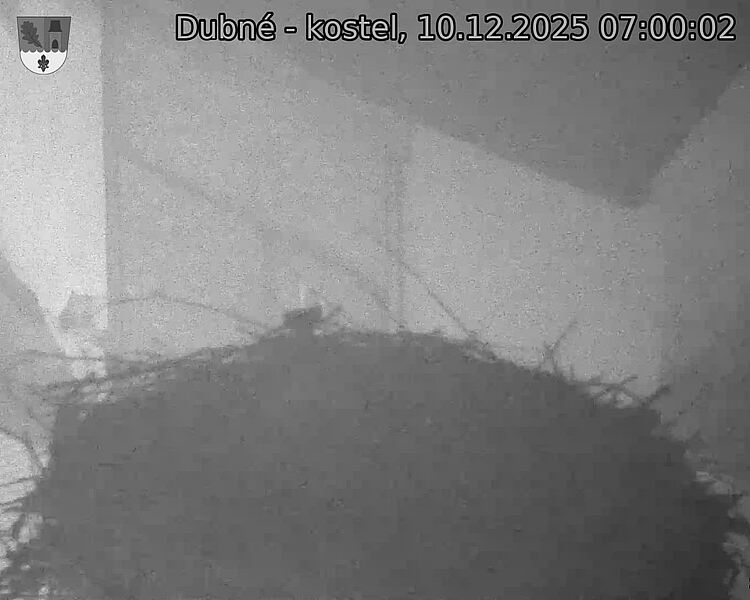 Capi_Dubne_20251210_070002.jpg (1350&nbsp;x&nbsp;1080)
