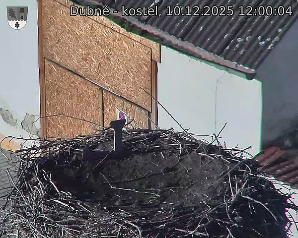Capi_Dubne_20251210_120004.jpg (1350&nbsp;x&nbsp;1080)
