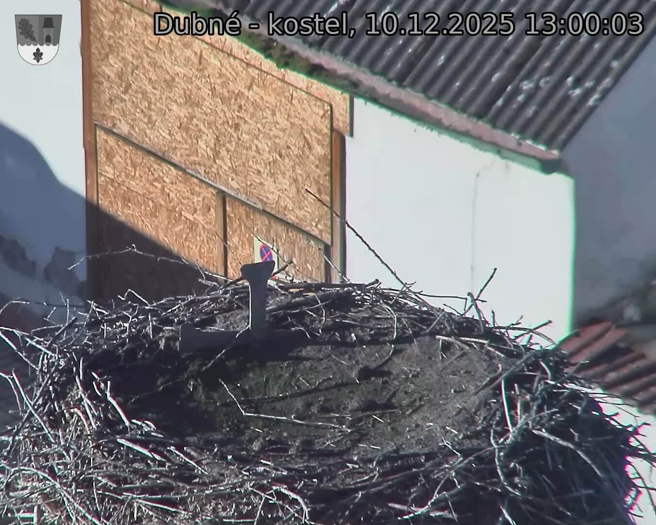 Capi_Dubne_20251210_130003.jpg (1350&nbsp;x&nbsp;1080)