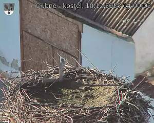 Capi_Dubne_20251210_140002.jpg (1350&nbsp;x&nbsp;1080)