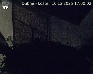 Capi_Dubne_20251210_170002.jpg (1350&nbsp;x&nbsp;1080)