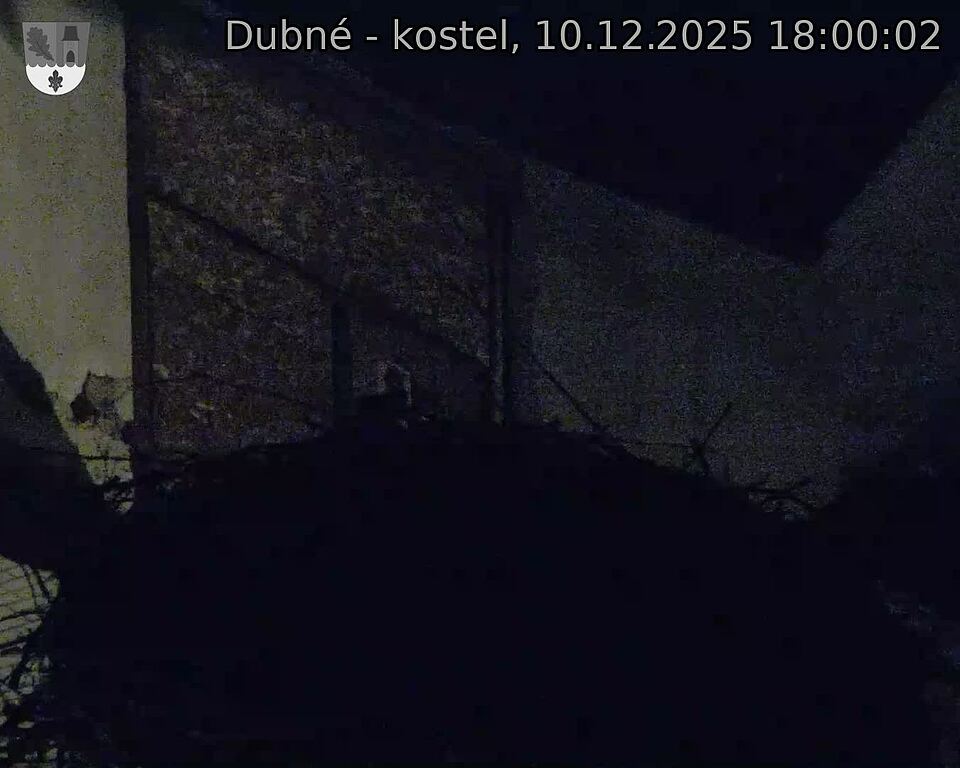 Capi_Dubne_20251210_180002.jpg (1350&nbsp;x&nbsp;1080)