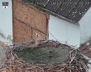 Capi_Dubne_20251211_080004.jpg (1350&nbsp;x&nbsp;1080)