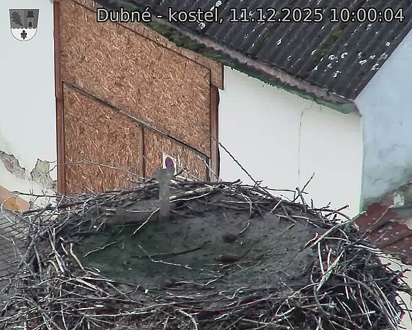 Capi_Dubne_20251211_100004.jpg (1350&nbsp;x&nbsp;1080)