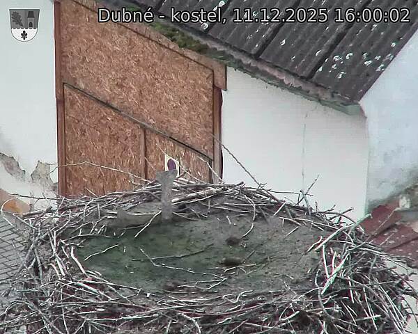 Capi_Dubne_20251211_160002.jpg (1350&nbsp;x&nbsp;1080)