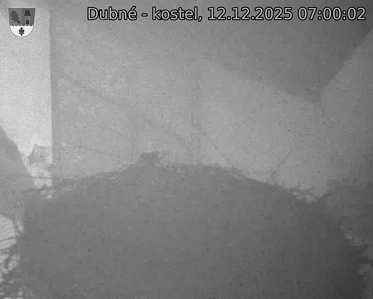 Capi_Dubne_20251212_070002.jpg (1350&nbsp;x&nbsp;1080)