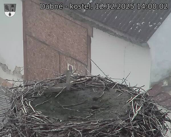 Capi_Dubne_20251212_140002.jpg (1350&nbsp;x&nbsp;1080)