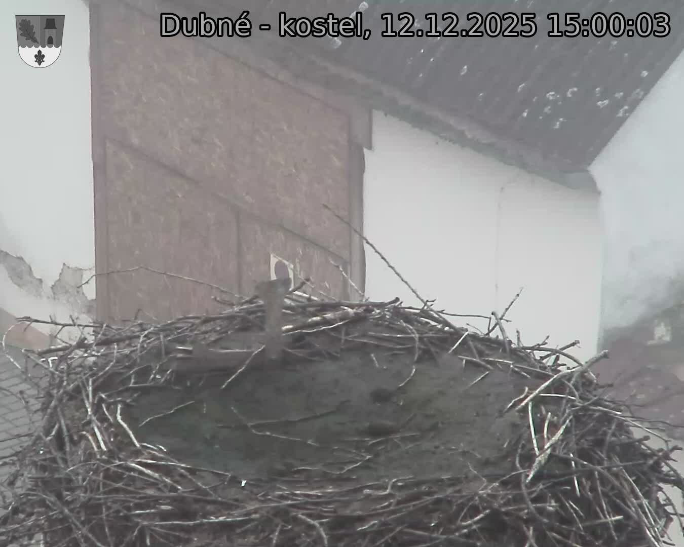 Capi_Dubne_20251212_150003.jpg (1350&nbsp;x&nbsp;1080)