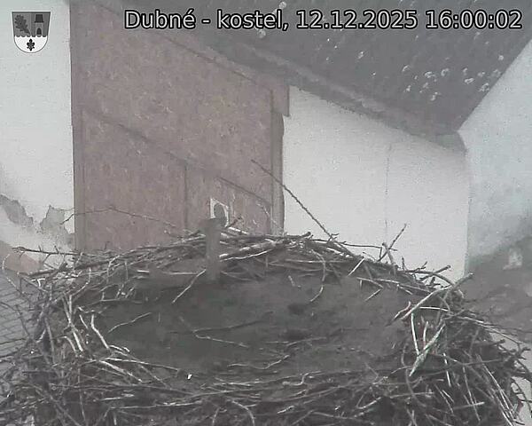 Capi_Dubne_20251212_160002.jpg (1350&nbsp;x&nbsp;1080)
