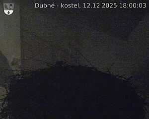 Capi_Dubne_20251212_180003.jpg (1350&nbsp;x&nbsp;1080)