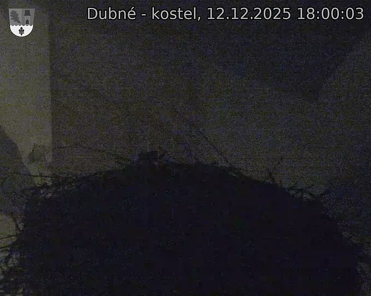 Capi_Dubne_20251212_180003.jpg (1350&nbsp;x&nbsp;1080)