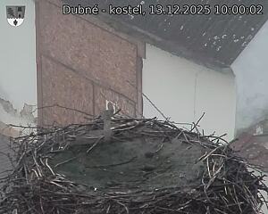 Capi_Dubne_20251213_100002.jpg (1350&nbsp;x&nbsp;1080)