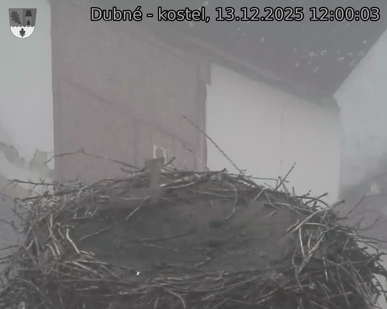 Capi_Dubne_20251213_120003.jpg (1350&nbsp;x&nbsp;1080)