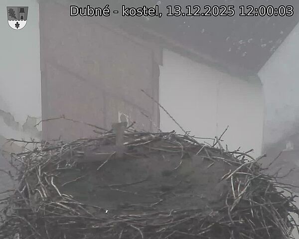 Capi_Dubne_20251213_120003.jpg (1350&nbsp;x&nbsp;1080)