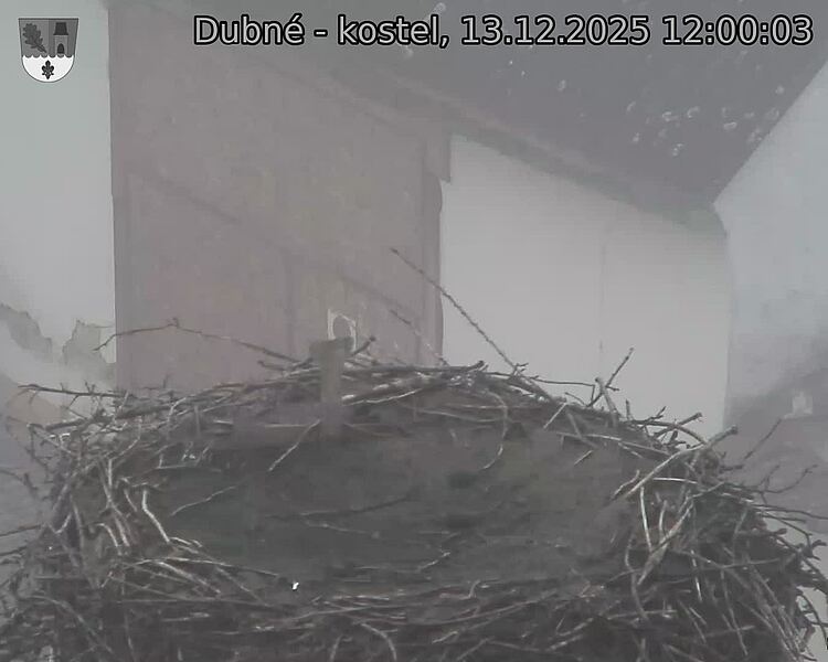 Capi_Dubne_20251213_120003.jpg (1350&nbsp;x&nbsp;1080)