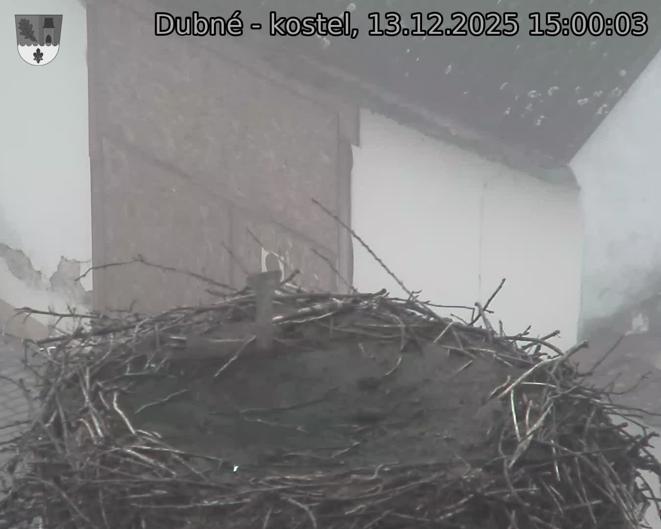 Capi_Dubne_20251213_150003.jpg (1350&nbsp;x&nbsp;1080)