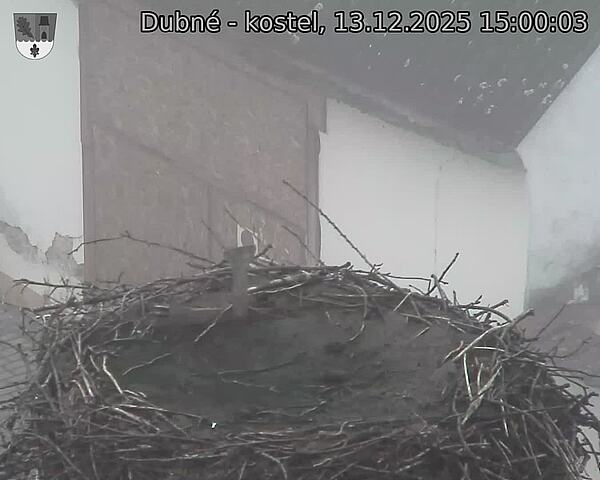 Capi_Dubne_20251213_150003.jpg (1350&nbsp;x&nbsp;1080)