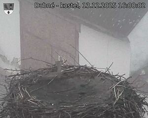 Capi_Dubne_20251213_160002.jpg (1350&nbsp;x&nbsp;1080)