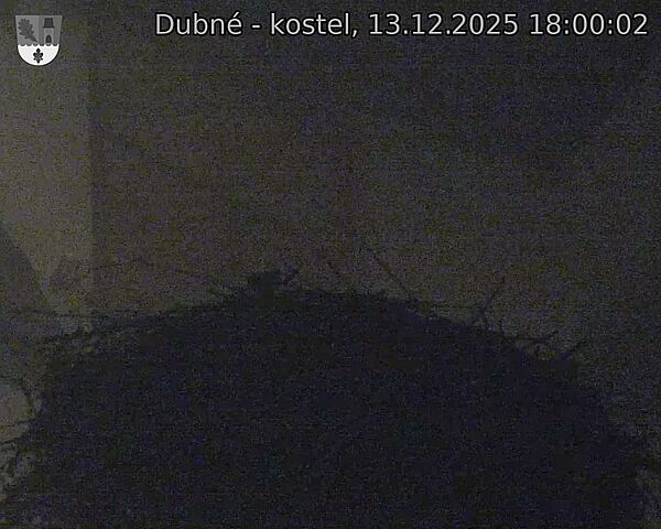 Capi_Dubne_20251213_180002.jpg (1350&nbsp;x&nbsp;1080)